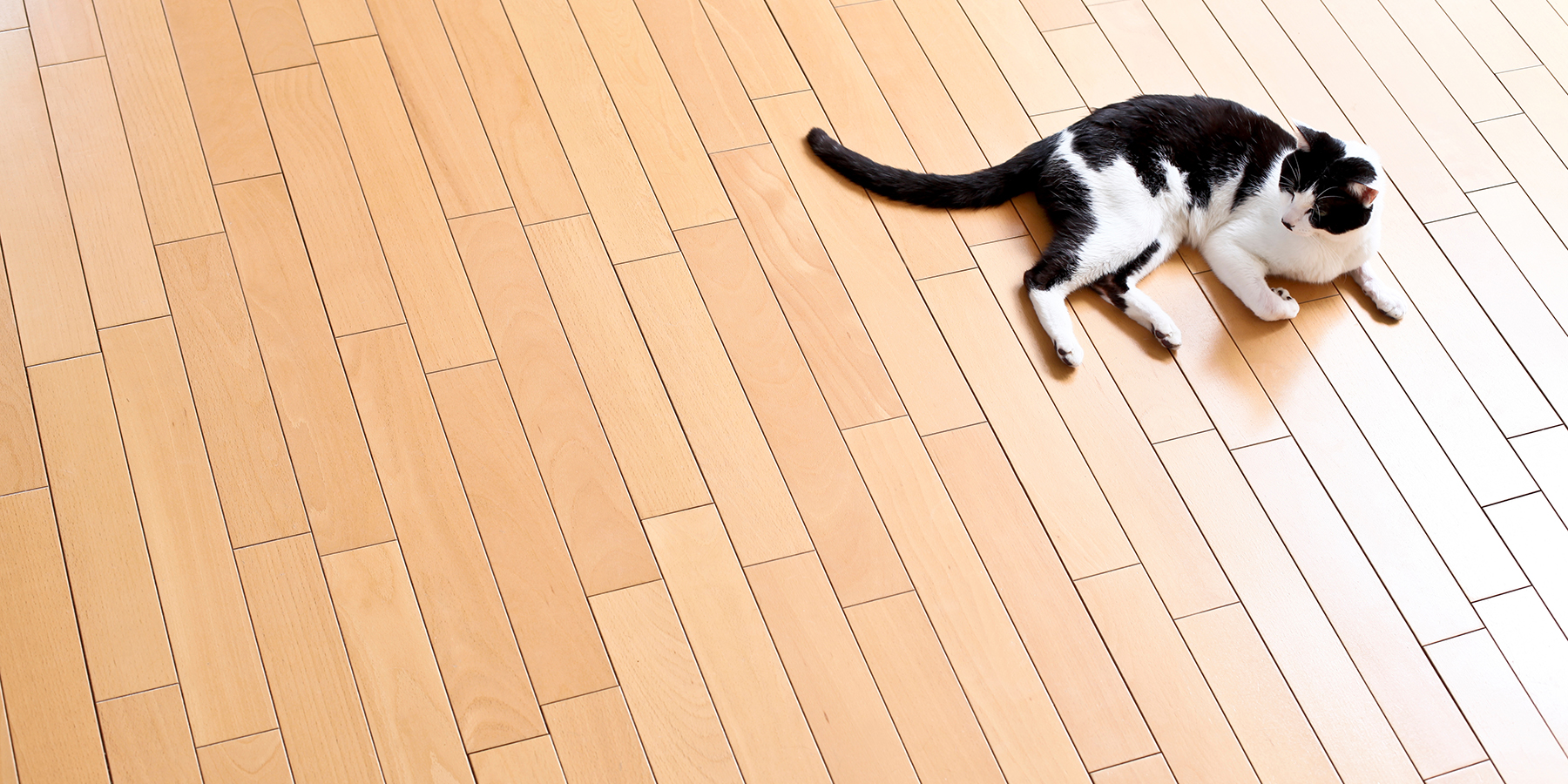 トップイメージ04